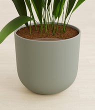 Load image into Gallery viewer, Sage Green stand:all
