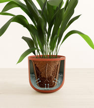 Load image into Gallery viewer, Earth Red stand:all
