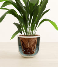 Load image into Gallery viewer, Natural Bamboo stand:all
