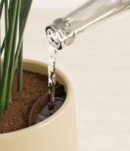 Load image into Gallery viewer, Almond Green stand:all
