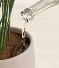 Load image into Gallery viewer, Eternal Gray stand:all
