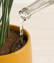 Load image into Gallery viewer, Mustard stand:all
