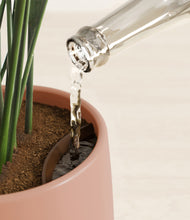 Load image into Gallery viewer, Calm Rose stand:all
