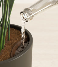 Load image into Gallery viewer, Dark Olive stand:all
