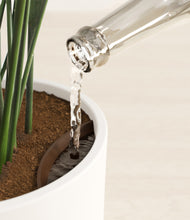 Load image into Gallery viewer, White stand:all
