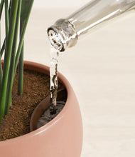 Load image into Gallery viewer, Calm Rose stand:all
