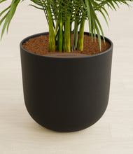 Load image into Gallery viewer, Stone Black stand:all
