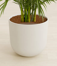 Load image into Gallery viewer, Natural Bamboo stand:all
