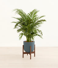 Load image into Gallery viewer, Iron Gray stand:walnut
