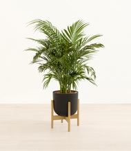 Load image into Gallery viewer, Stone Black stand:bamboo
