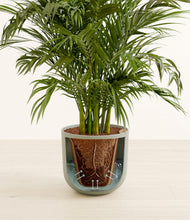 Load image into Gallery viewer, Sage Green stand:all

