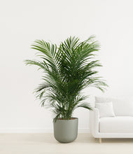 Load image into Gallery viewer, Sage Green
