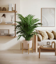 Load image into Gallery viewer, Sandy Pink stand:bamboo
