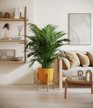 Load image into Gallery viewer, Sunset Orange stand:bamboo
