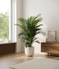 Load image into Gallery viewer, Natural Bamboo*****Profile

