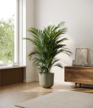 Load image into Gallery viewer, Sage Green*****Profile
