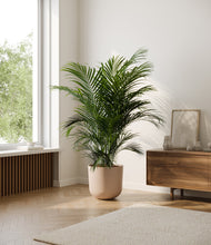 Load image into Gallery viewer, Sandy Pink*****Profile
