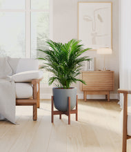 Load image into Gallery viewer, Iron Gray stand:walnut

