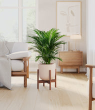 Load image into Gallery viewer, Sandy Pink stand:walnut
