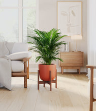 Load image into Gallery viewer, Earth Red stand:walnut
