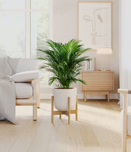 Load image into Gallery viewer, Natural Bamboo stand:bamboo

