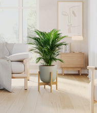 Load image into Gallery viewer, Sage Green stand:bamboo
