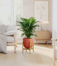 Load image into Gallery viewer, Earth Red stand:bamboo
