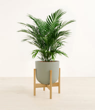 Load image into Gallery viewer, Sage Green stand:bamboo
