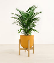 Load image into Gallery viewer, Sunset Orange stand:bamboo
