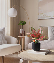 Load image into Gallery viewer, Northern Night stand:one_stand
