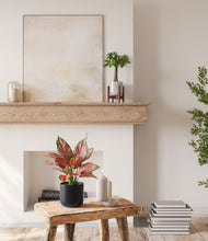 Load image into Gallery viewer, Northern Night stand:one_stand

