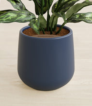 Load image into Gallery viewer, Deep Navy stand:all
