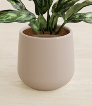 Load image into Gallery viewer, Eternal Gray stand:all
