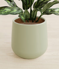 Load image into Gallery viewer, Turquoise stand:all
