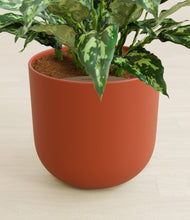 Load image into Gallery viewer, Earth Red stand:all
