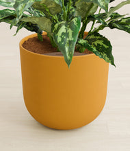 Load image into Gallery viewer, Sunset Orange stand:all
