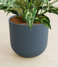 Load image into Gallery viewer, Iron Gray stand:all
