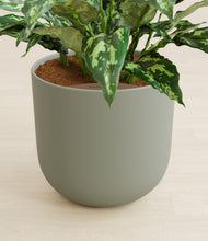 Load image into Gallery viewer, Sage Green stand:all
