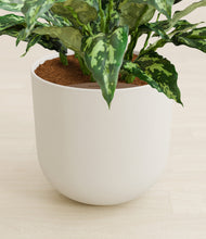 Load image into Gallery viewer, Natural Bamboo stand:all
