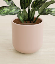 Load image into Gallery viewer, Sandy Pink stand:all
