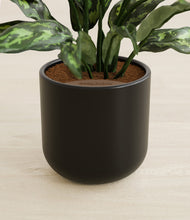 Load image into Gallery viewer, Stone Black stand:all
