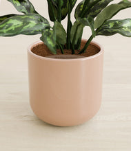 Load image into Gallery viewer, Glossy Pink stand:all

