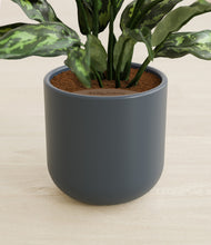 Load image into Gallery viewer, Iron Gray stand:all
