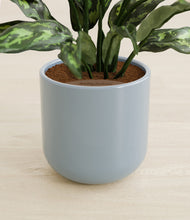 Load image into Gallery viewer, Misty Blue stand:all
