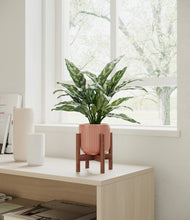 Load image into Gallery viewer, Striped Rose Pink stand:walnut
