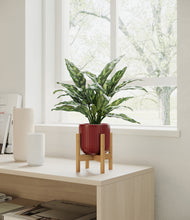 Load image into Gallery viewer, Striped Cherry Red stand:bamboo
