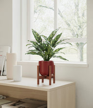 Load image into Gallery viewer, Striped Cherry Red stand:walnut
