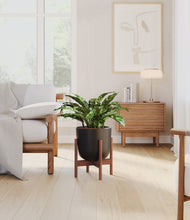 Load image into Gallery viewer, Stone Black stand:walnut
