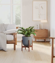 Load image into Gallery viewer, Iron Gray stand:walnut
