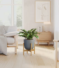 Load image into Gallery viewer, Iron Gray stand:bamboo
